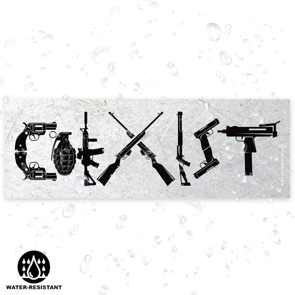 Coexist Decal