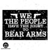 We The People Have The Right To Bear Arms 6x4 Oval Magnet